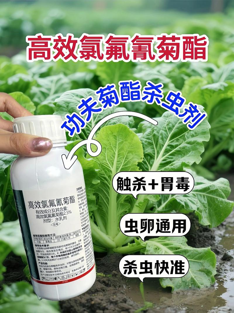 唐山代生中心:农药对供卵代生妈妈的危害